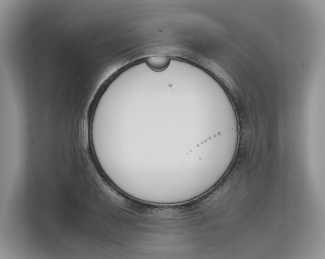 X0000111851079200908131434