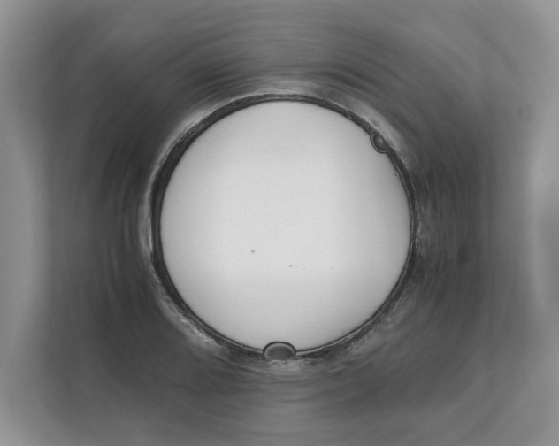 X0000111851080200908131434