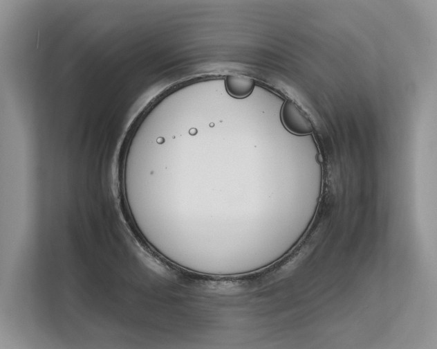 X0000111851082200908131434