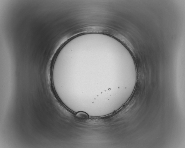 X0000111851083200908131434