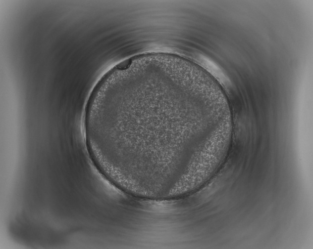 X0000111851084200908131434