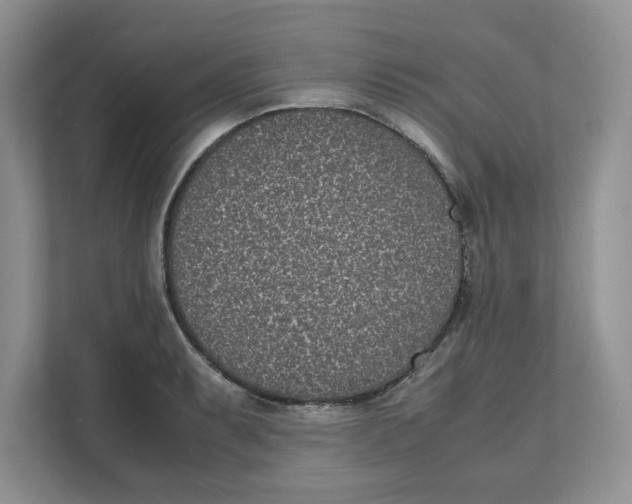 X0000111851087200908131434