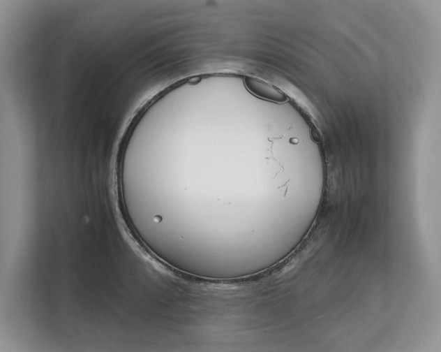 X0000111851088200908131434