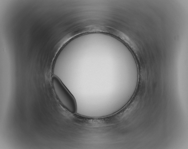 X0000111851089200908131434