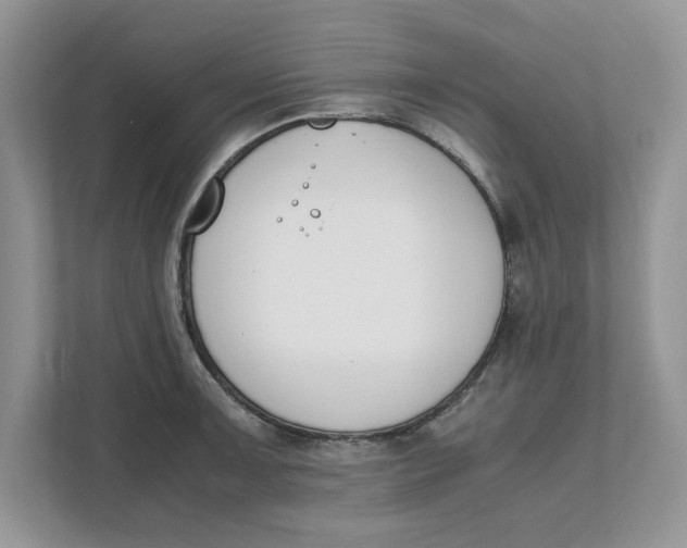 X0000111851091200908131434