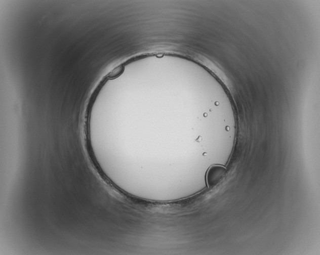 X0000111851093200908131434