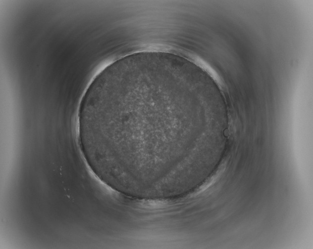 X0000111851095200908131434