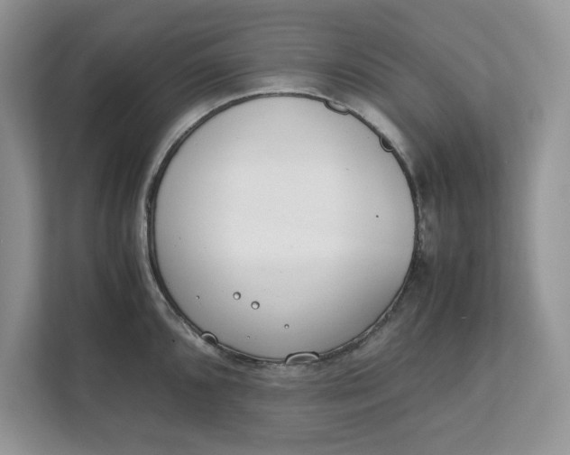 X0000111851096200908131434