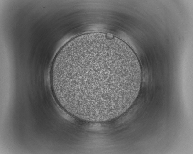 X0000111851098200908131434