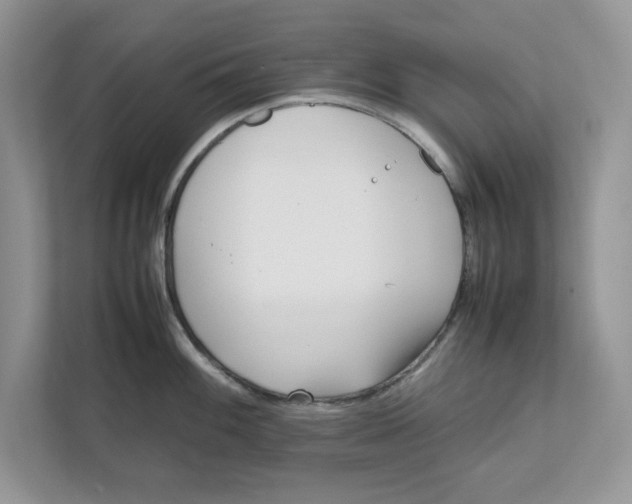 X0000111851100200908131434