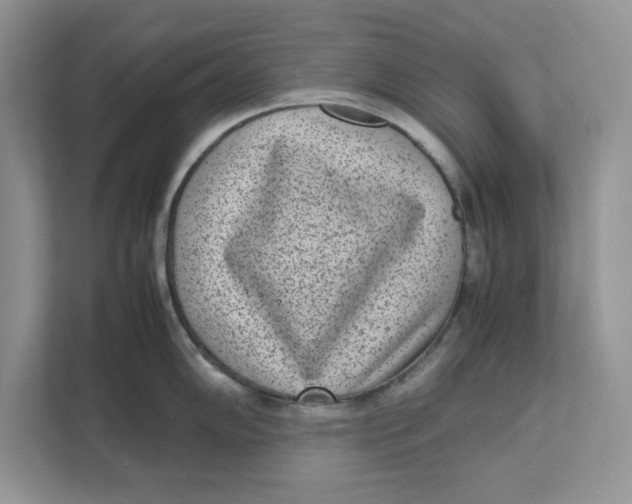 X0000111851102200908131434