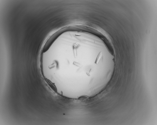 X0000111851104200908131434