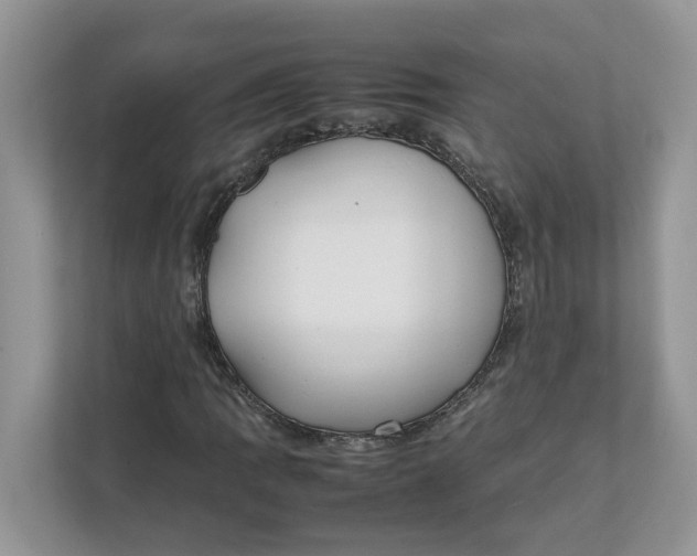 X0000111851109200908131433