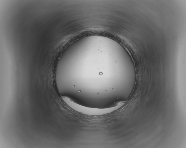 X0000111851110200908131433