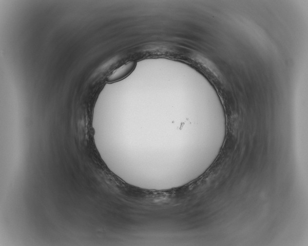 X0000111851111200908131433