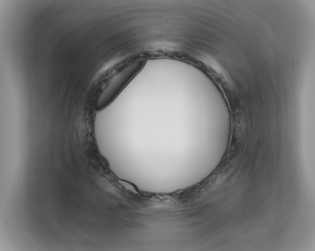 X0000111851112200908131433