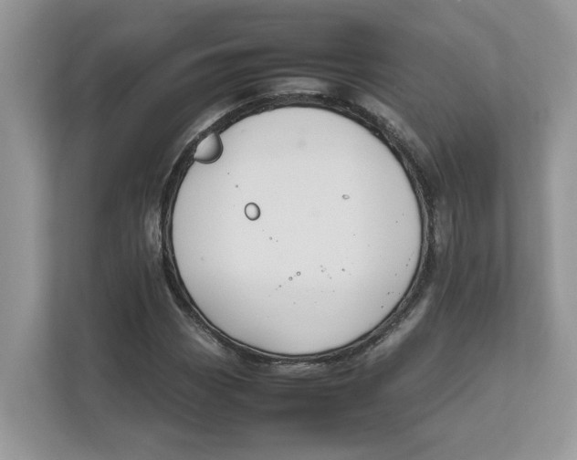 X0000111851113200908131433