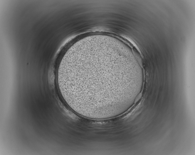 X0000111851115200908131433