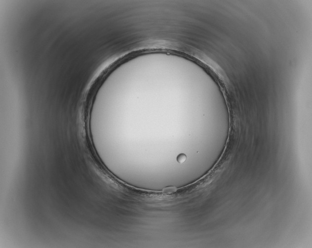 X0000111851120200908131433