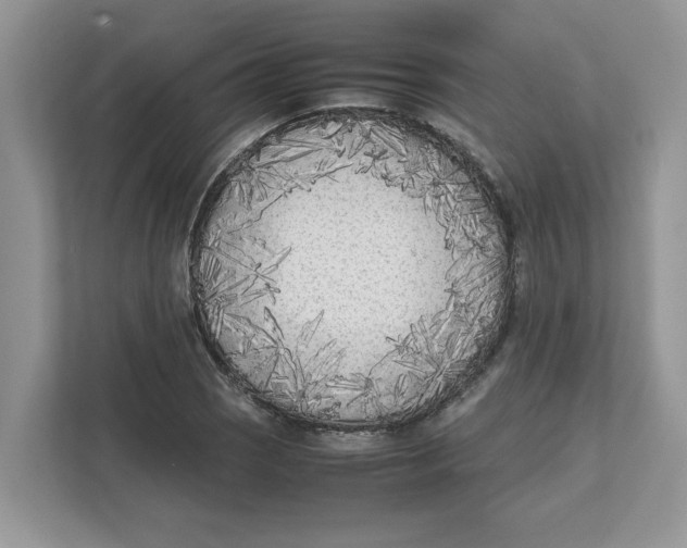 X0000111851121200908131433