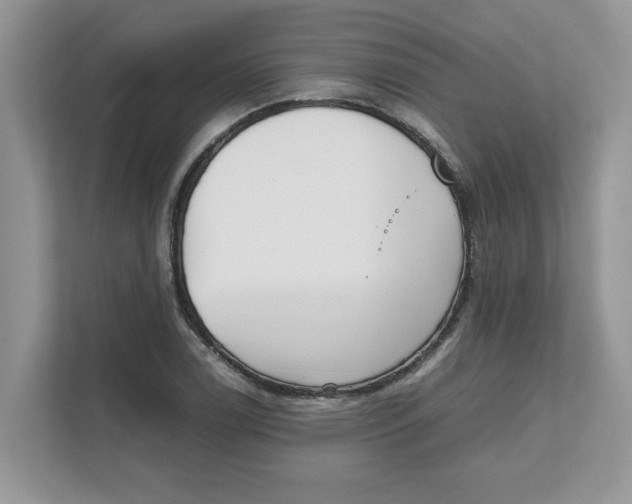 X0000111851122200908131433