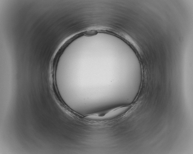 X0000111851124200908131433