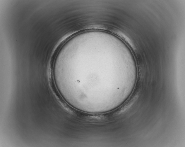 X0000111851125200908131433