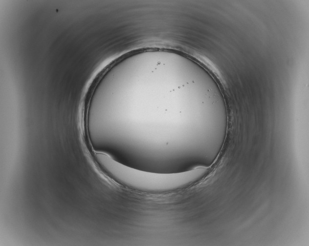 X0000111851128200908131433