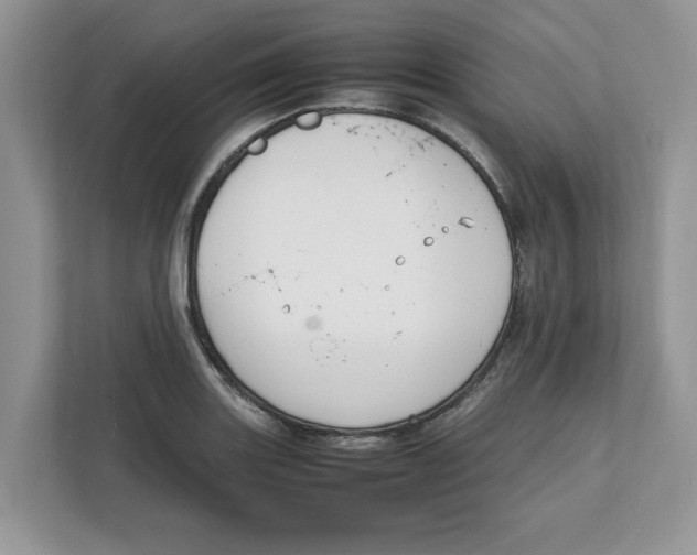 X0000111851131200908131433