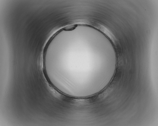 X0000111851132200908131433