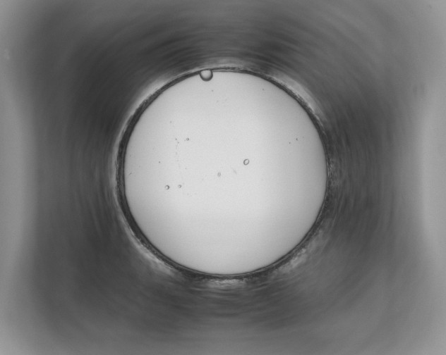 X0000111851135200908131433