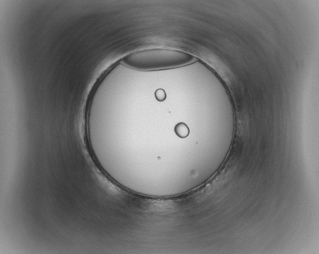 X0000111851136200908131434