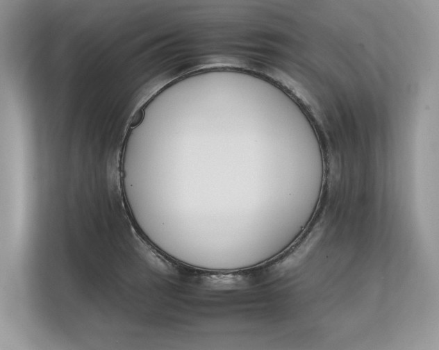 X0000111851137200908131434