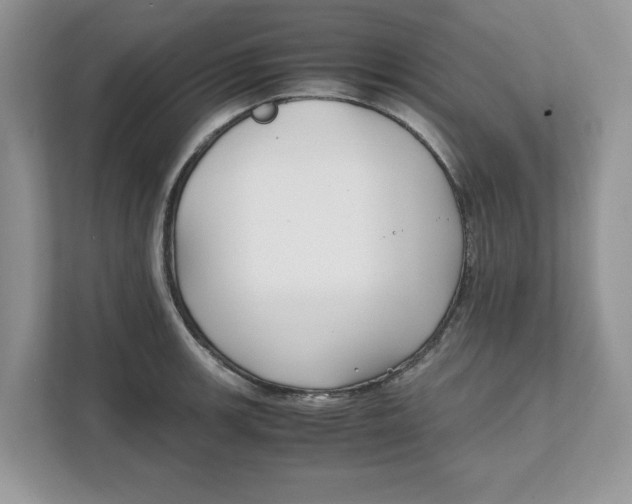 X0000111851139200908131434