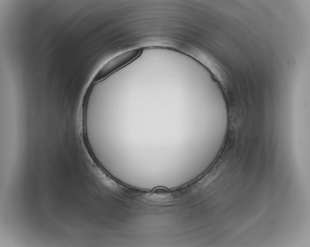 X0000111851140200908131434