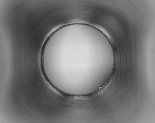 X0000111851142200908131434