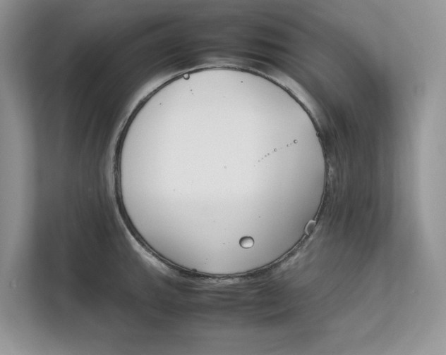 X0000111851143200908131434