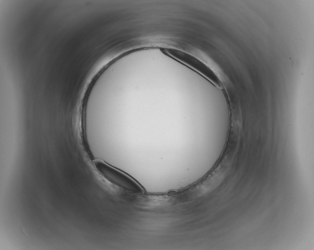 X0000111851144200908131434