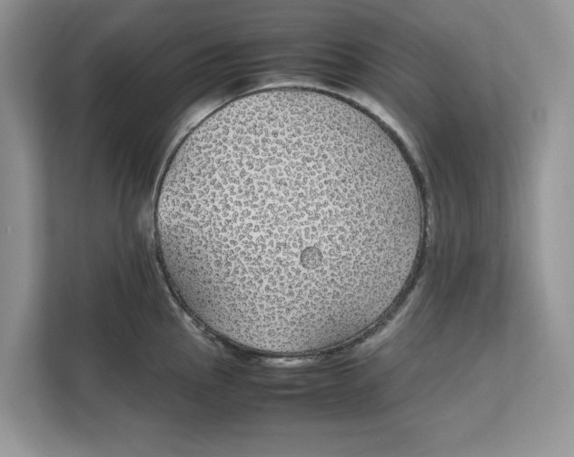 X0000111851145200908131434