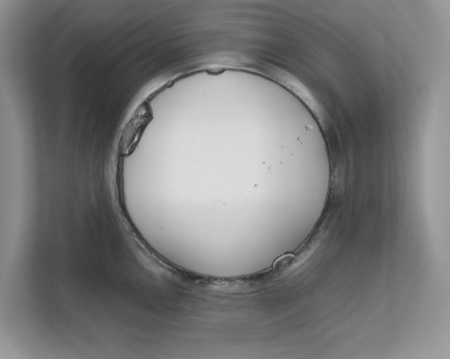 X0000111851146200908131434