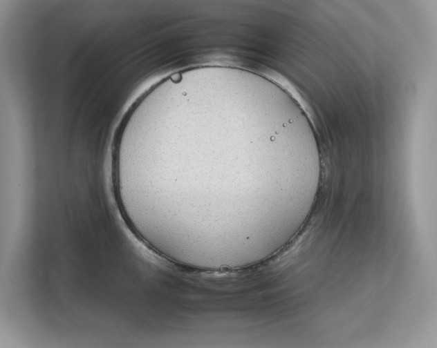 X0000111851147200908131434