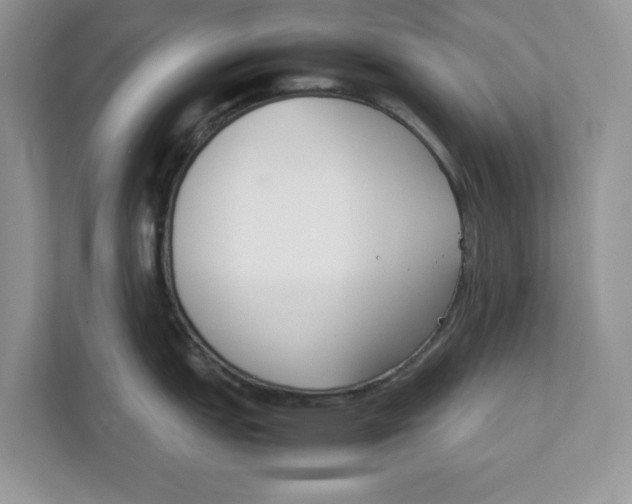 X0000111851151200908131434