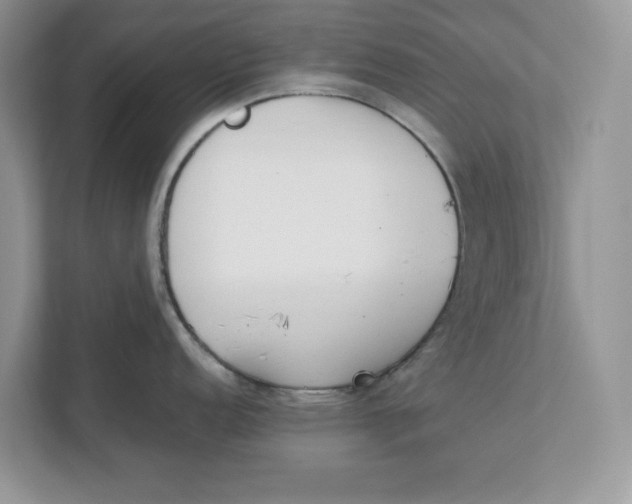 X0000111851152200908131434