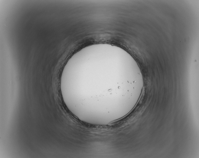 X0000111851153200908131433