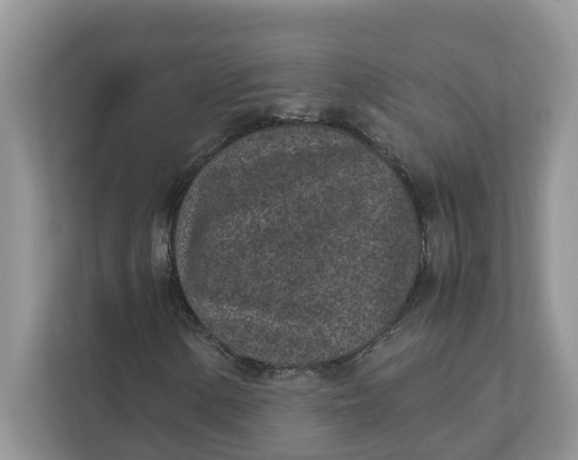 X0000111851154200908131433