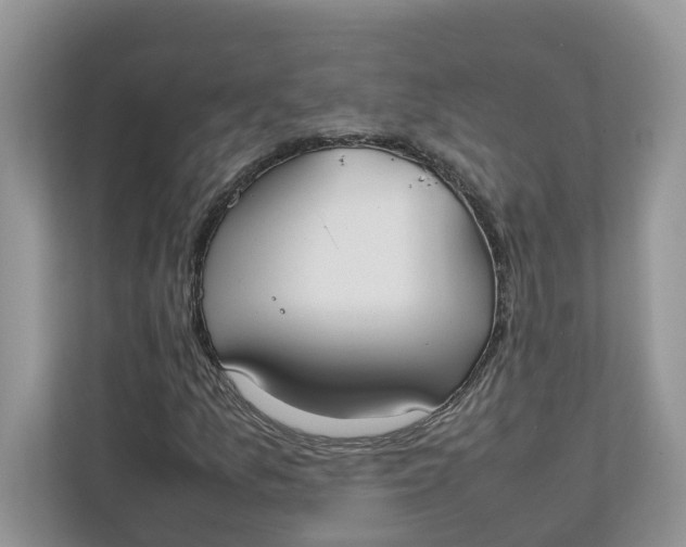 X0000111851157200908131433