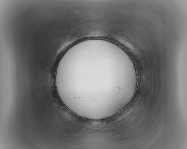 X0000111851160200908131433