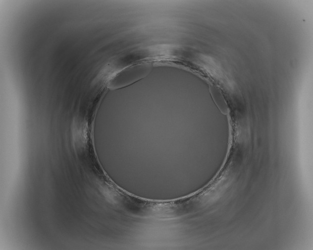 X0000111851161200908131433