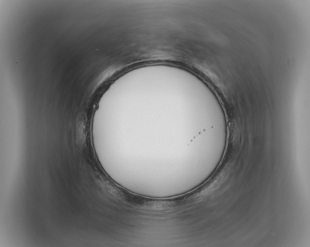 X0000111851163200908131433