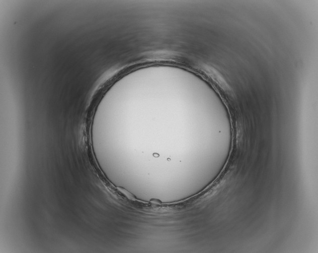 X0000111851164200908131433